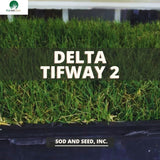 Bermuda grass Tifway 2 sod
