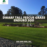 Best Dwarf Tall Fescue Grass Enduro Sod