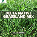 Native Grassland Mix Grass Seed