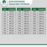Elite Plus Fescue Grass Seed