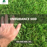 Endurance Sod