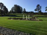 Enduro Fescue grass