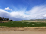 Enduro sod Greenfields California