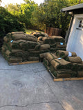 Enduro dwarf tall fescue