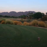 GN1 Greg Norman Bermudagrass