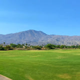 GN-1 Greg Norman golf grass