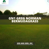 GN1 Greg Normal Bermuda Grass Sod