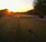 GN1 Greg Norman Bermudagrass