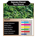 Dwarf Tall Fescue Sod and Seed