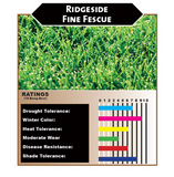 Ridgeside Fine Fescue - Bay Area Sod and Seed