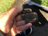 sandy loam soil grass