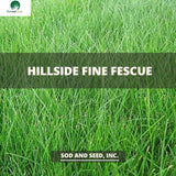 Hillside Fescue Sod