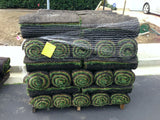 Hybrid Tall Fescue Sod