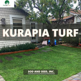 Kurapia Turf