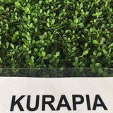 west coast kurapia sod