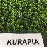 Kurapia sod