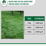 No Mow Grass Seed
