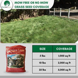 No Mow Grass Seed