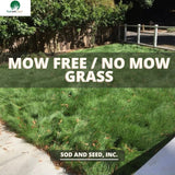 Mow Free Grass