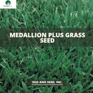medallion plus grass seed