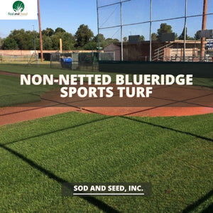 Best Non Netted or Non-Netted Sports Turf