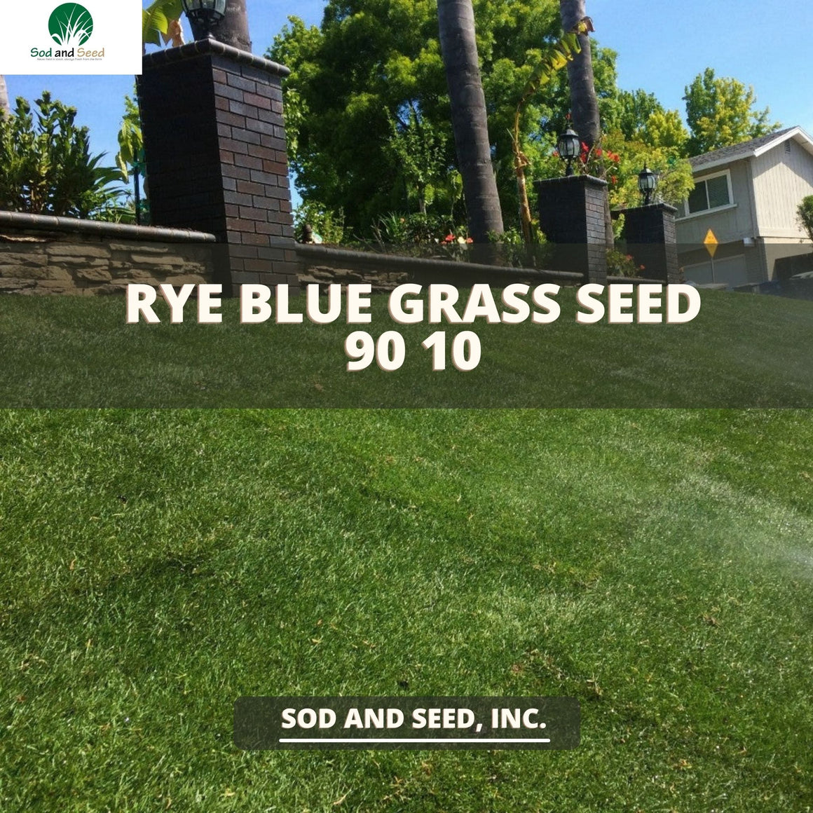 Grass Seed for Your Lawn - Free Shipping – Sod and Seed, Inc.
