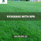 Rye grass with RPR