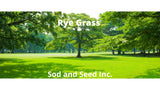 ryegrass sod