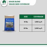 Shade Blend Fescue Seed for Grass Lawn