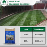 Shade Blend Fescue Seed for Grass Lawn