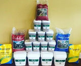 Shade Blend Fescue Seed for Grass Lawn