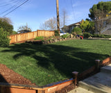 Best Tall Fescue Grass Seed
