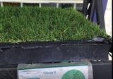 Tifway II Bermuda Grass