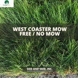 West Coaster Mow Free or No Mow Sod