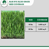 Blue Rye Grass Seed 50 50