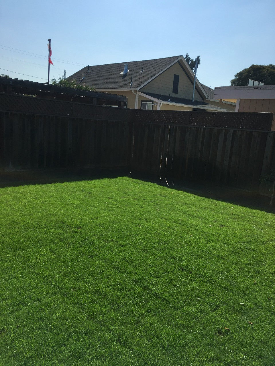Blue Rye Grass Seed 50 50 – Sod and Seed, Inc.