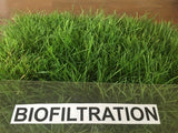 delta california native biofiltration sod