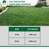 tall fescue grass seed