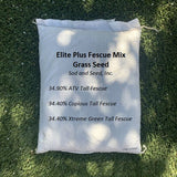 ATV tall fescue grass seed