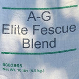 copious tall fescue grass seed
