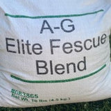 xtreme green tall fescue grass seed