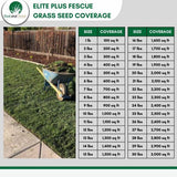 Elite Plus Fescue Grass Seed