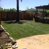 elite plus fescue grass seed