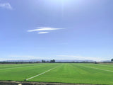 endurance sod for sale