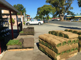 Enduro fescue sod