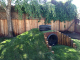 Shade Blend Fescue Seed for Grass Lawn