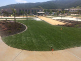 enduro grass lawn