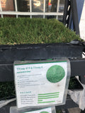 Tifway 419 - Bay Area Sod and Seed