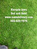 Kurapia delivery in California