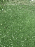 Kurapia sod prices California